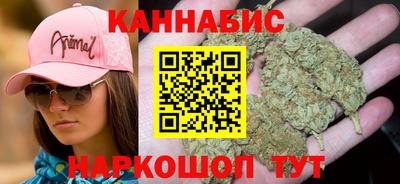 мдпв Рузаевка